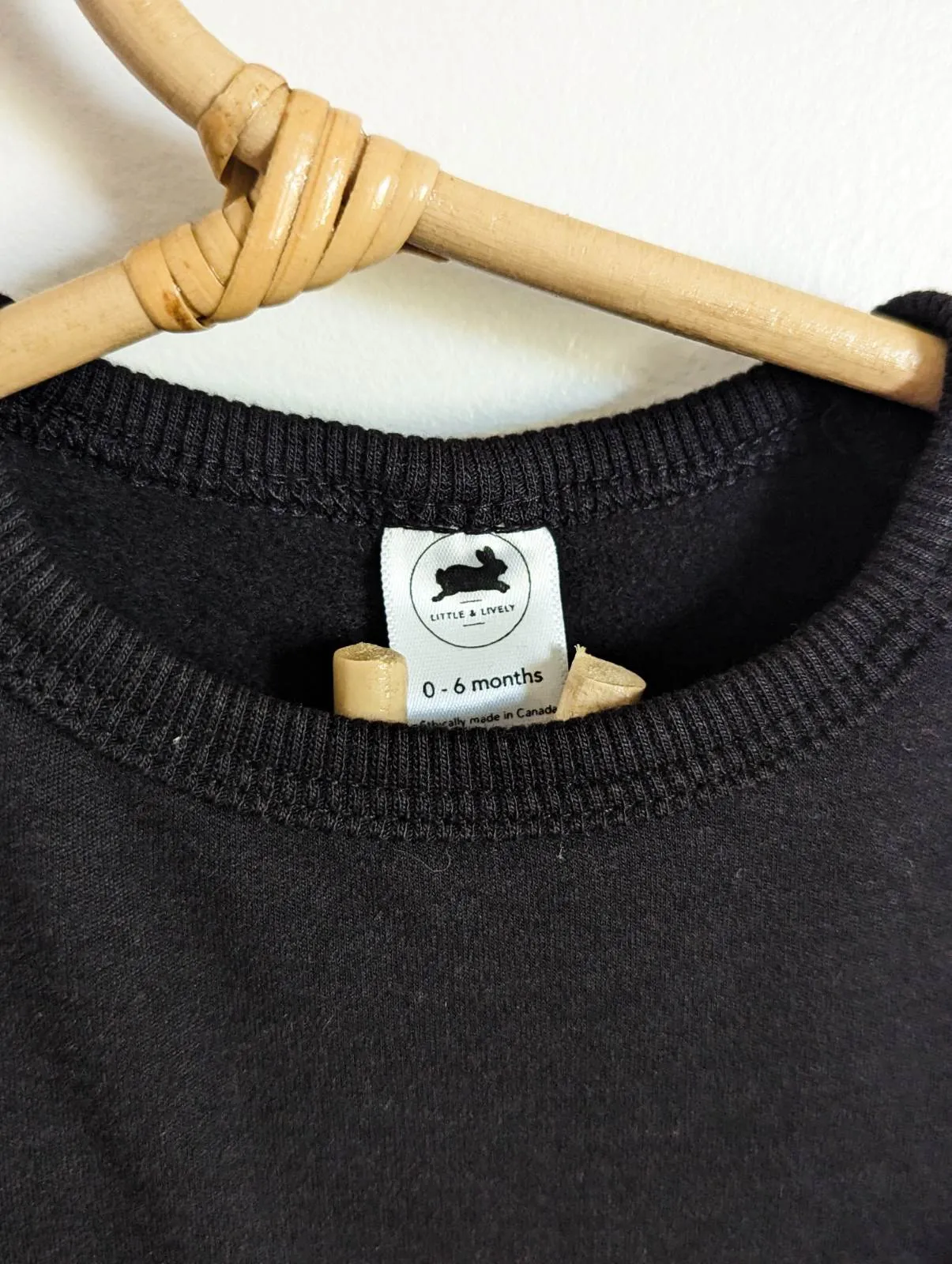 Little & Lively Fleece Lined Pullover (0-6, 6-12)