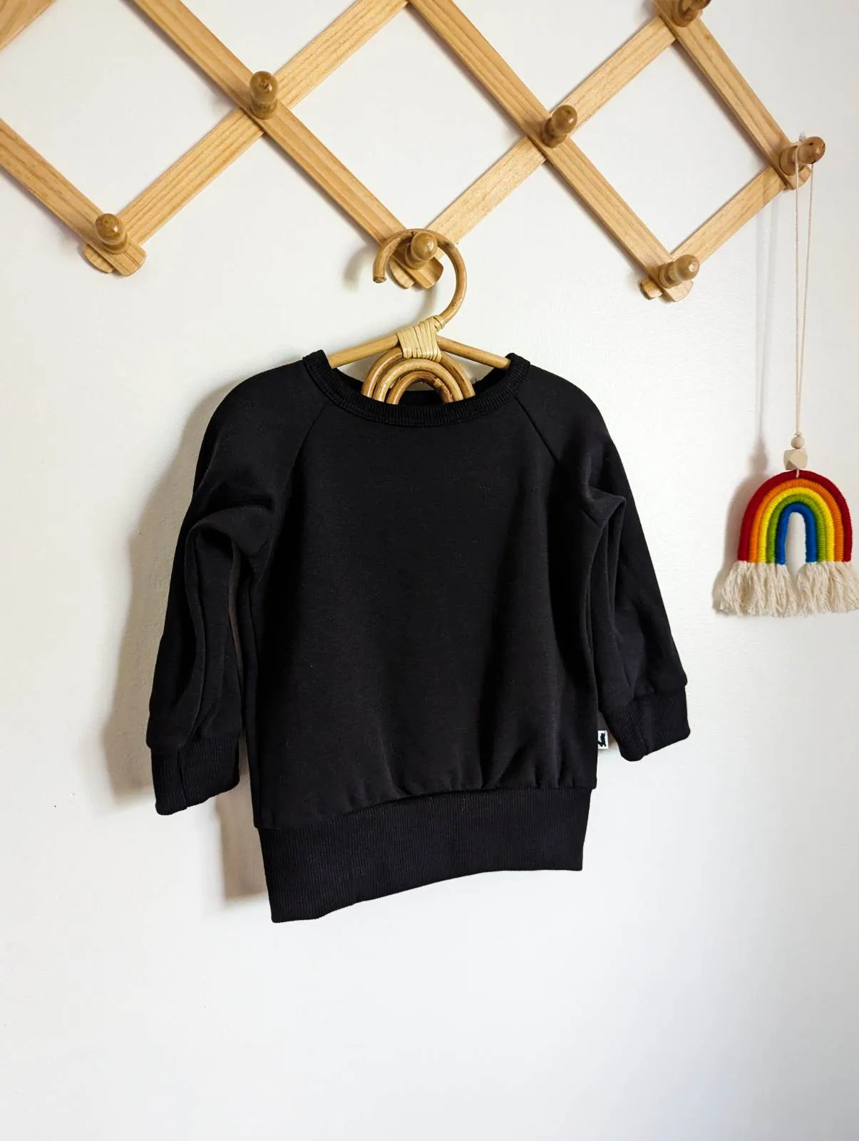 Little & Lively Fleece Lined Pullover (0-6, 6-12)