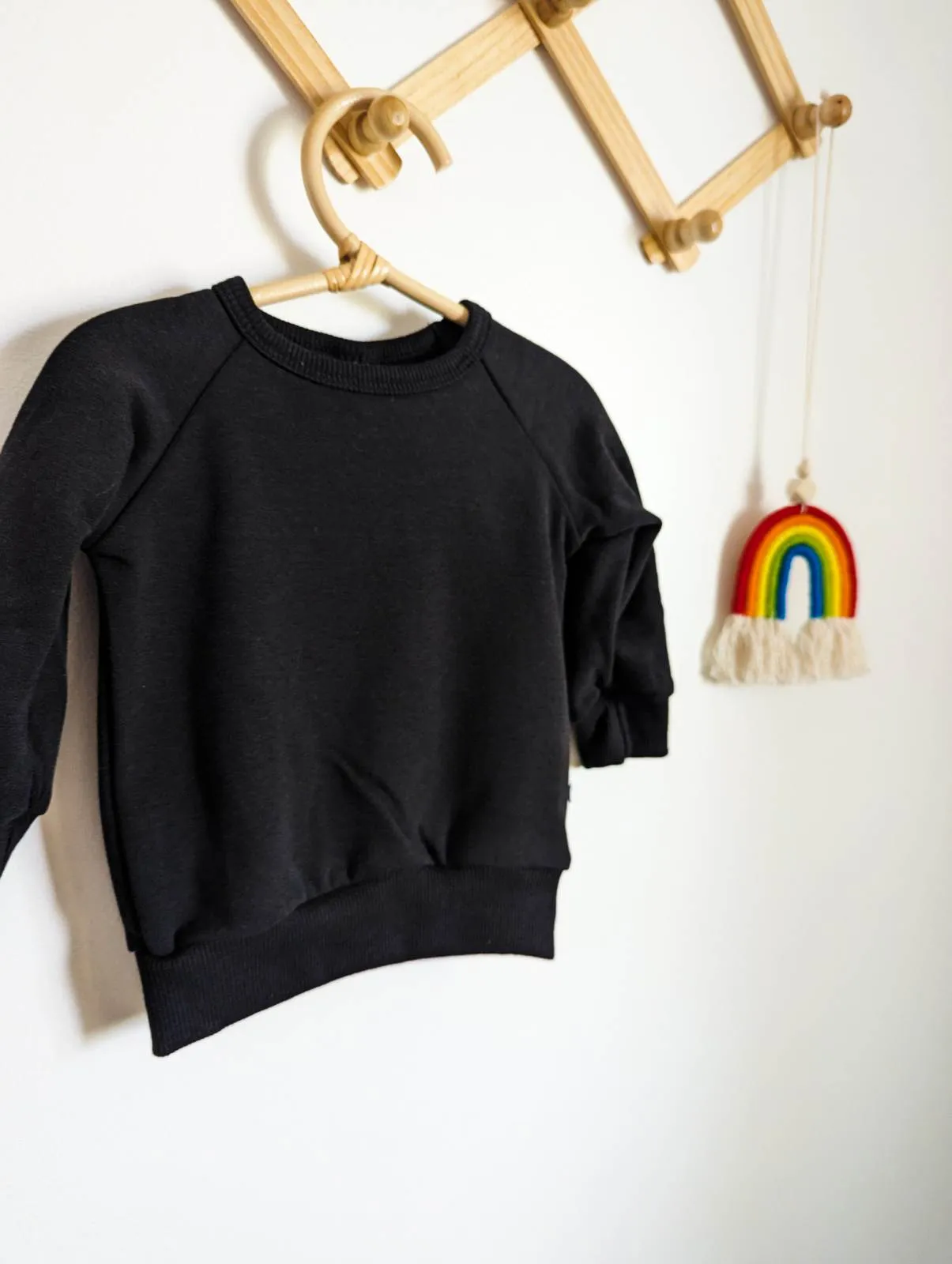 Little & Lively Fleece Lined Pullover (0-6, 6-12)